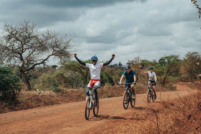 Private Cycle to Kilimanjaro Bike Park Safari - The Kilimanjaro National Park section