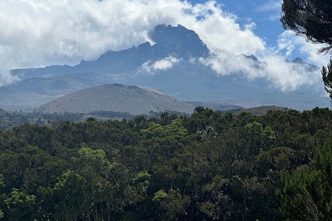 Private Day Tour Kilimanjaro Hike - The descent is part of the challenge