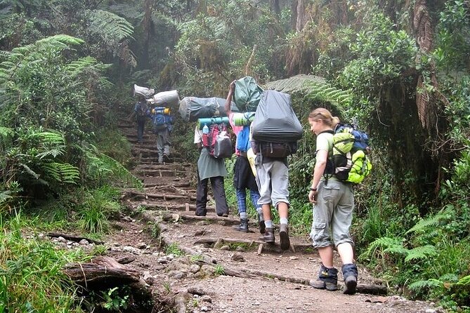 Private Day Tour Kilimanjaro Hike - The guides are a major part of the experience