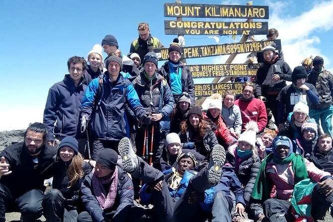 Private Day Tour Kilimanjaro Hike - The Marangu Route enters Kilimanjaro’s rainforest