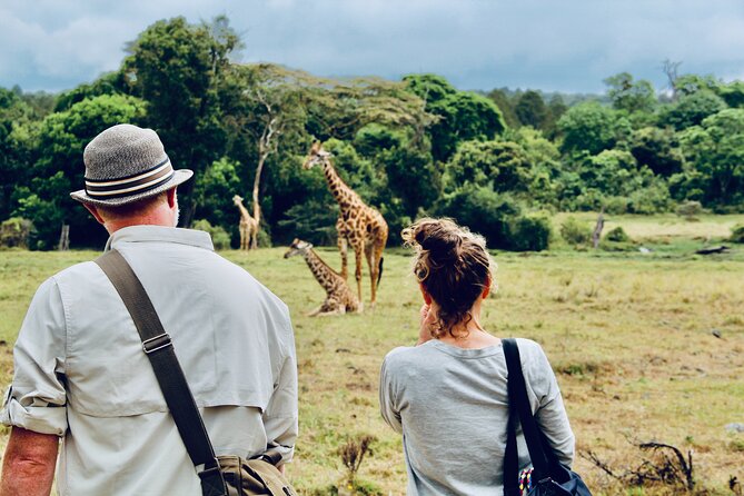 Private Day Trip to Arusha National Park with a Walking Safari - The best parts of this Arusha day trip