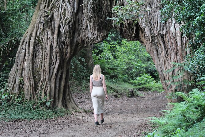 Private Day Trip to Arusha National Park with a Walking Safari - Lunch, water, and the real value of $400