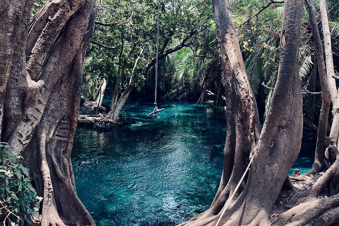 Private Day Trip to Kikuletwa Hot Springs in Kilimanjaro - Who will enjoy this day most