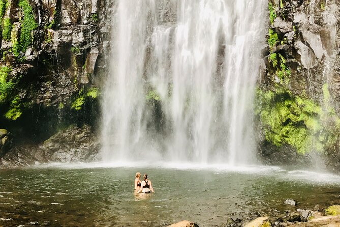 Private Day Trip to Materuni Waterfall and Coffee Tour - What the $150 price includes