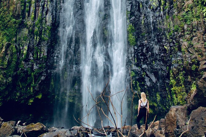 Private Day Trip to Materuni Waterfall and Coffee Tour - Weather, swimming, and what to bring