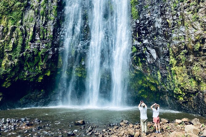 Private Day Trip to Materuni Waterfall and Coffee Tour - Making Kilimanjaro coffee from bean to cup