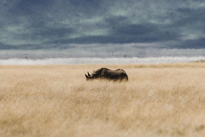 Private Day Trip to Ngorongoro Crater - Why Ngorongoro Crater makes a strong day trip
