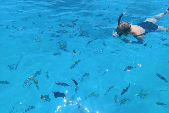 Private Dolphin Tour and Snorkeling at Mnemba Island reef - A calm finish at the Mnemba sandbank