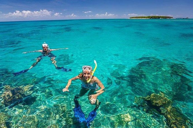 Private Dolphin Tour and Snorkeling at Mnemba Island reef - Who will enjoy this trip most?
