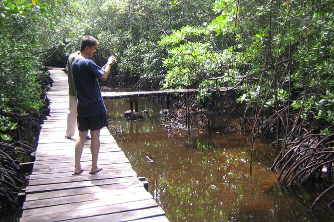 Private Full-Day: Dolphin & Monkey Jungle Adventure - Kuza Cave, Swahili culture, and a possible swim