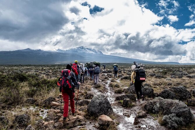 Private Full Day Hiking Experience to Marangu Route - Private Guiding, Pace, and Communication