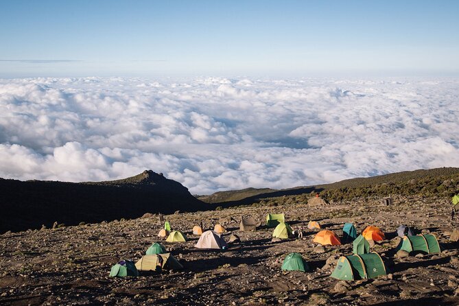 Private Full Day Hiking Experience to Marangu Route - Who Will Enjoy This Short Kilimanjaro Experience