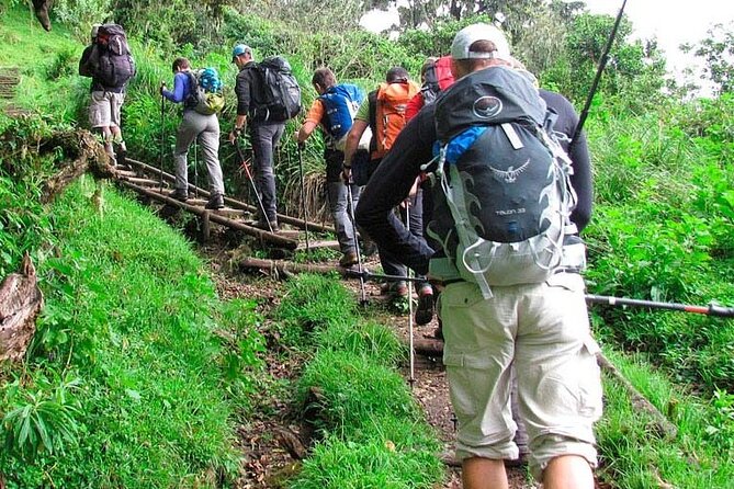 Private Full Day Hiking Experience to Marangu Route - Practical Advice for a Better Day