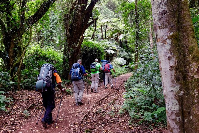 Private Full Day Hiking Experience to Marangu Route - Should You Book the Marangu Route Day Hike?