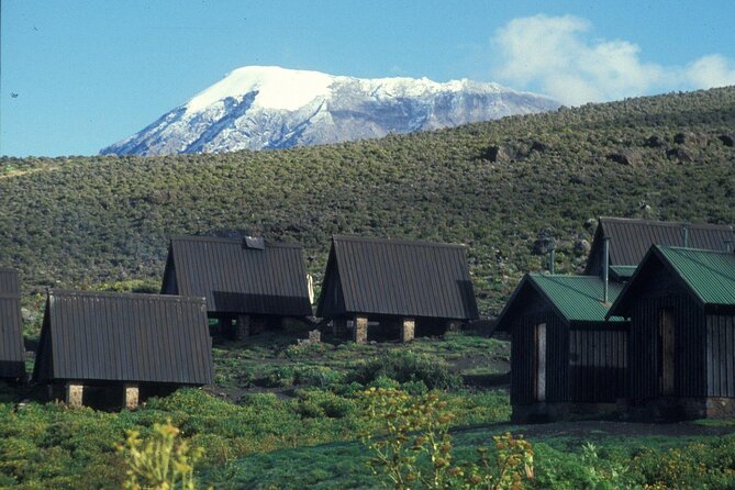 Private Full Day Hiking Experience to Marangu Route - Reaching Mandara Hut After the Five-Hour Trek