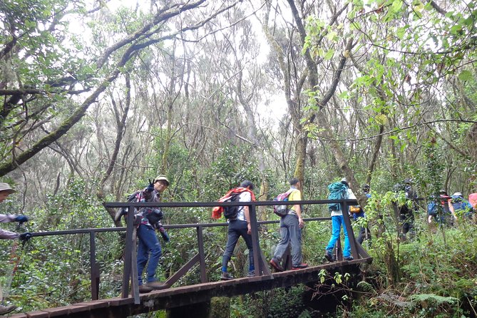 Private Full-Day Hiking Tour in Mount Kilimanjaro - Key things to know before you book