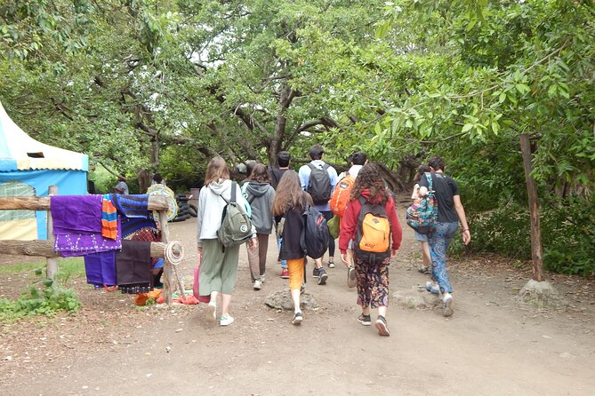 Private Full-Day Materuni Waterfall, Coffee and Hot-spring Tour in Moshi - What the private format changes