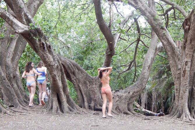 Private Full-Day Materuni Waterfall, Coffee and Hot-spring Tour in Moshi - Is $95 good value?