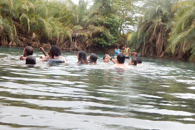 Private Full-Day Materuni Waterfall, Coffee and Hot-spring Tour in Moshi - Who should book this day?