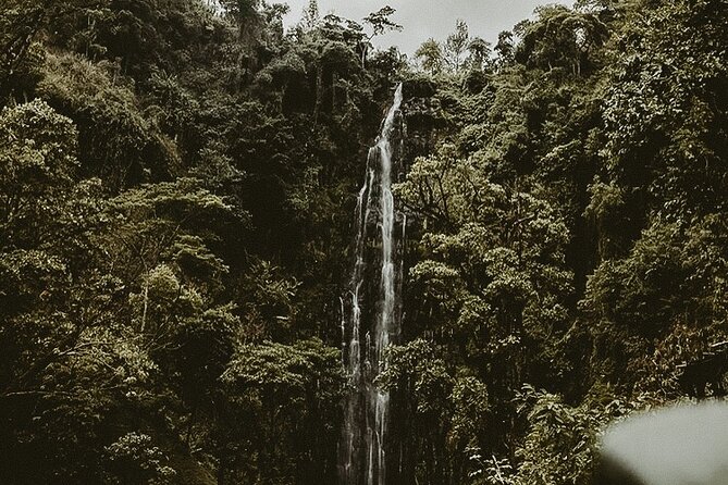 Private Full-Day Materuni Waterfalls and Kikuletwa Hotspring - Why this Arusha day trip works