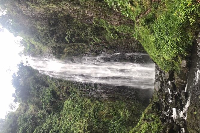 Private Full-Day Materuni Waterfalls and Kikuletwa Hotspring - The village coffee experience