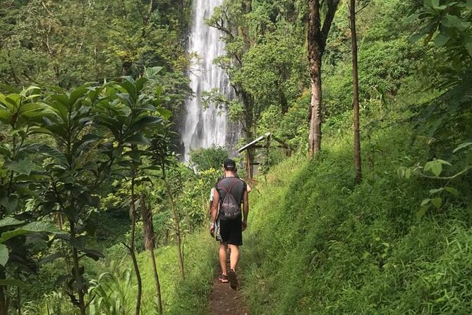 Private Full-Day Materuni Waterfalls and Kikuletwa Hotspring - The road from Arusha to Materuni