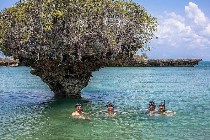Private Full-day Safari Blue Trip with Lunch buffet - Key points to know before booking