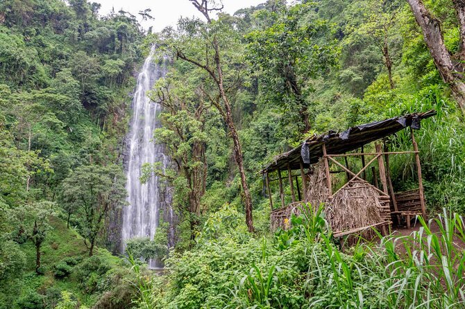 Private Full-Day Trip to Materuni Waterfalls - Chagga culture adds meaning to the walk