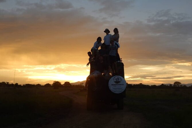 Private Full-Day Trip to Mikumi National Park from Dar es Salaam - What the private format changes