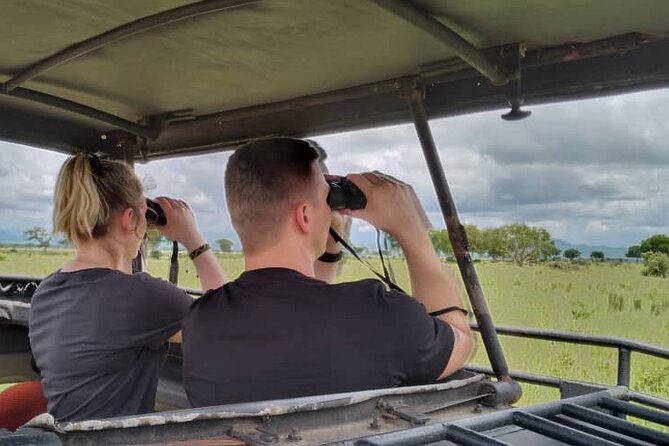 Private Full-Day Trip to Mikumi National Park from Dar es Salaam - The return journey begins around 4:00 PM