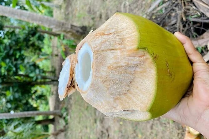 Private Full Day Trip to Stone Town, Spice Farms and Jozani Forest - Jozani Forest and Zanzibar’s red colobus monkeys