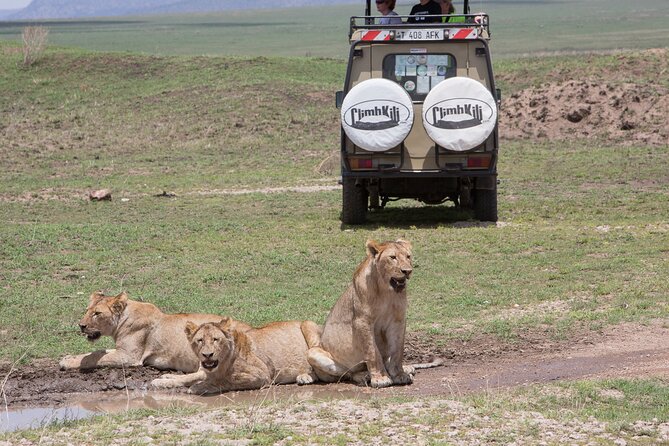 Private Group Serengeti Safari, Crater & Tarangire National Park - What three days in northern Tanzania really means
