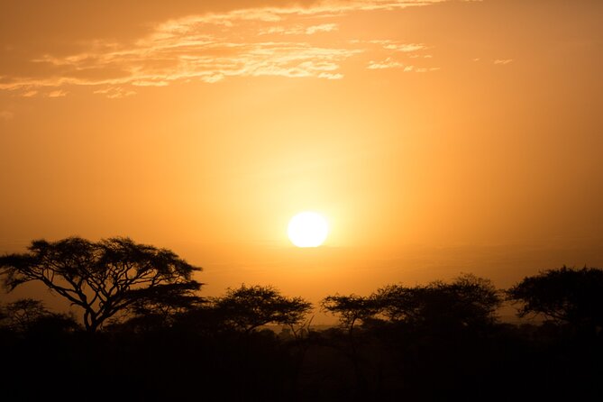 Private Group Serengeti Safari, Crater & Tarangire National Park - Who should book this three-day safari