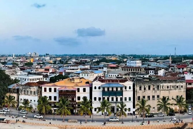 Private Half Day Stone Town Walking Tour - Key points to know before booking