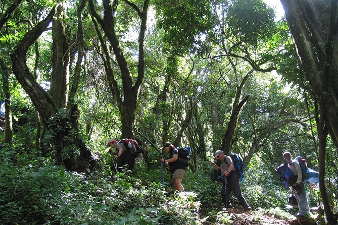 Private Kilimanjaro Climb - Any Route - 8 to 15+ Days - Picking between 8 and 16 days on Kilimanjaro