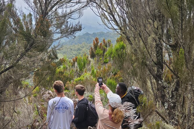 Private Kilimanjaro Day Hike to Marangu Route's Mandara Hut - Leaving Moshi Or Arusha At 6:30 A.M.