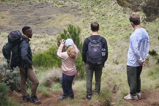 Private Kilimanjaro Day Hike to Marangu Route's Mandara Hut - The Three To Four Hour Walk To Mandara Hut
