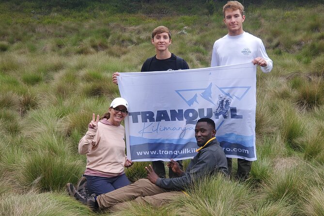 Private Kilimanjaro Day Hike to Marangu Route's Mandara Hut - The Two To Three Hour Descent