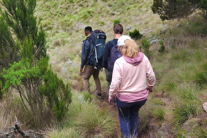 Private Kilimanjaro Day Hike to Marangu Route's Mandara Hut - What The $280 Price Includes