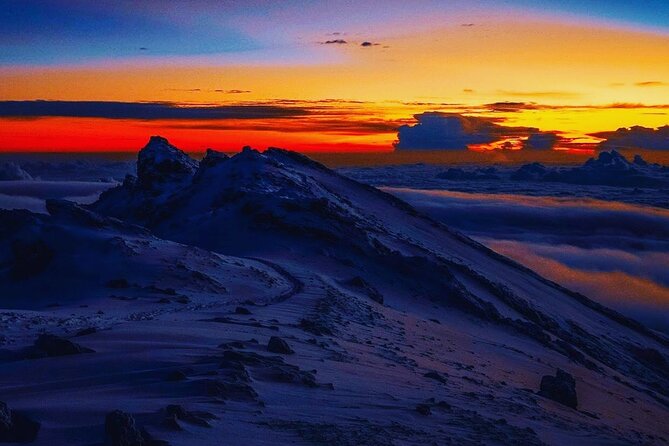 Private Kilimanjaro Hike 7 Day Lemosho Route - Why the Lemosho route is worth seven days