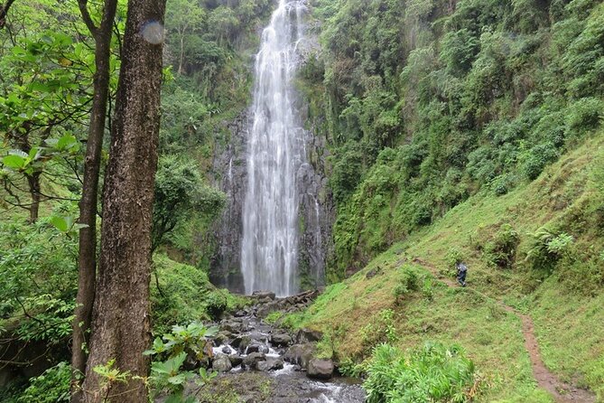 Private Materuni and Chemka Hotspring Tour - Key reasons to consider this day tour