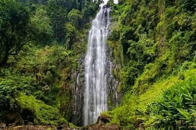 Private Materuni Waterfall & Coffee Tour. - Starting near Moshi in the Kilimanjaro foothills
