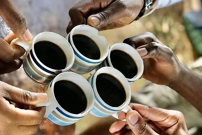 Private Materuni Waterfall & Coffee Tour. - Practical planning before you go