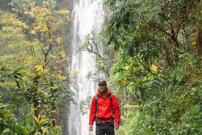 Private Materuni Waterfalls, Coffee Tour and Kikuletwa Hot Spring - The Walk to Materuni Waterfalls