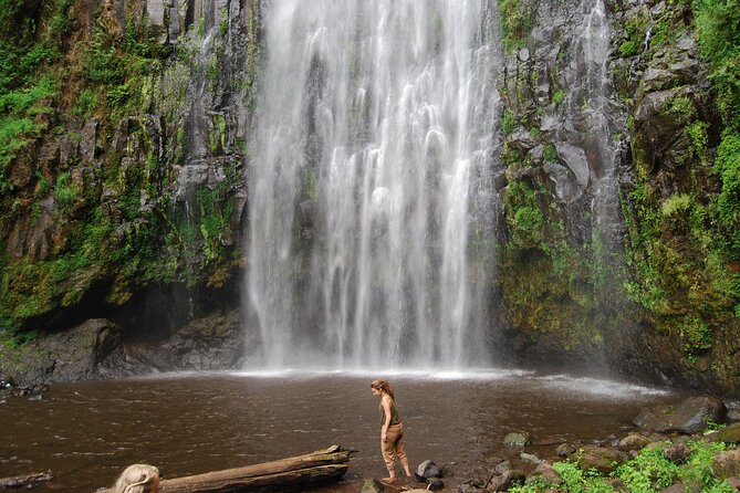 Private Materuni Waterfalls, Coffee Tour and Kikuletwa Hot Spring - The Road to Kikuletwa Hot Spring