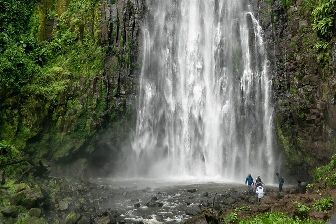 Private Materuni Waterfalls, Coffee Tour and Kikuletwa Hot Spring - Is $128.58 Good Value?