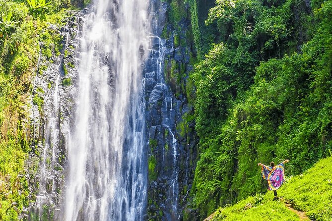 Private Materuni Waterfalls, Coffee Tour and Kikuletwa Hot Spring - Learning Coffee From Bean to Cup