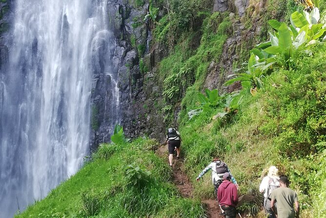 Private Materuni Waterfalls Hiking and Coffee Tour - Practical Details for a Smoother Day