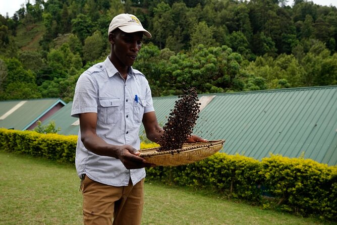 Private Meru Coffee Tour in Nkoaranga - The final cup makes the work worthwhile