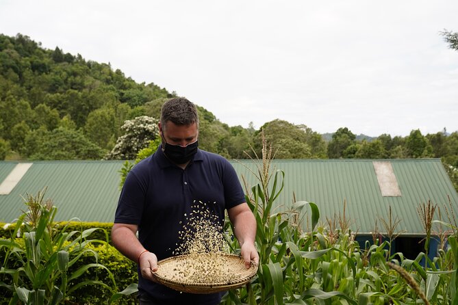 Private Meru Coffee Tour in Nkoaranga - Meru traditions and The Small Things project